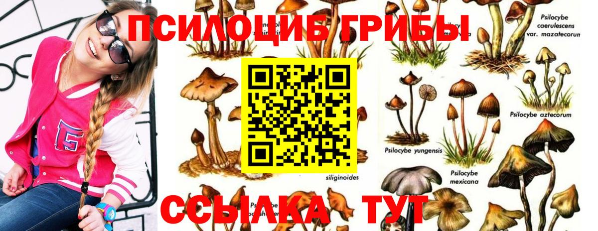Псилоцибиновые грибы прущие грибы Нижнеудинск