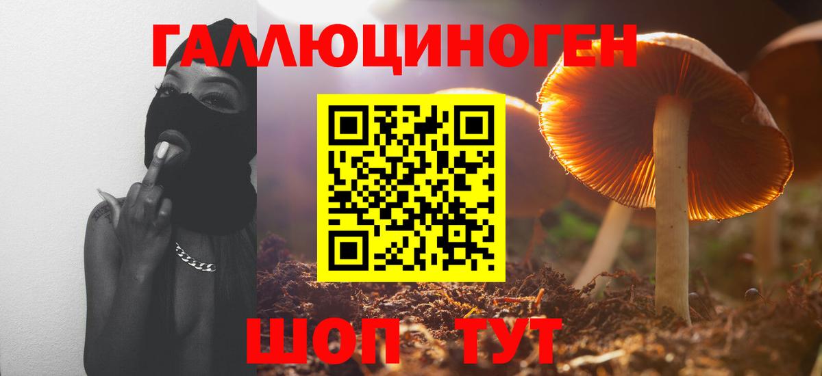 Нижнеудинск  Псилоцибиновые грибы мухоморы  Галлюциногенные грибы MAGIC MUSHROOMS  купить наркотик  Вход с VPN 